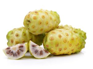 Apa yang perlu diketahui tentang buah mengkudu bagi kesehatan ?